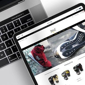 EVERLAST ECOMMERCE